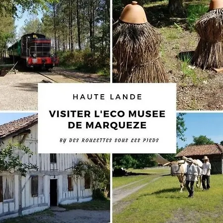 Ferienhaus La Cheneraie *